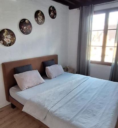 The 16Th Century 2Br Apartment In The City Center アントウェルペン エクステリア 写真