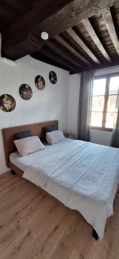 The 16Th Century 2Br Apartment In The City Center アントウェルペン エクステリア 写真